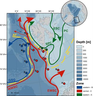 Oceanic Fronts Shape Biodiversity of Gelatinous Zooplankton in the European Arctic